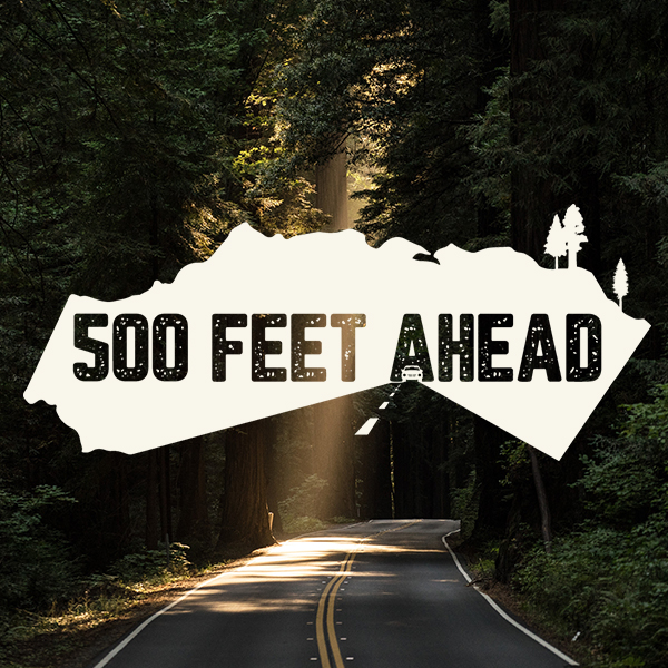 500 Feet Ahead — feature documentary key art, a road through the redwoods